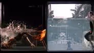 Holoscenes: Introduction