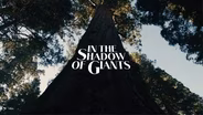 In the Shadow of Giants