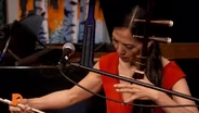 Detroit’s Mexican American community, musician Xiao Dong Wei, Concert of Colors performance