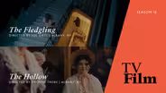The Fledgling | The Hollow: Preview