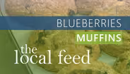 Blueberries | Muffins