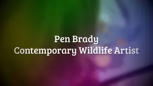 Pen Brady - Wildlife Illustrator