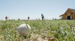 United by Baseball preview