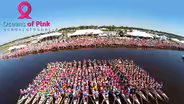 Oceans Of Pink