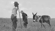 The History of Reparations