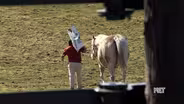 Stable Recovery