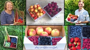 Agriberry CSA and Farm