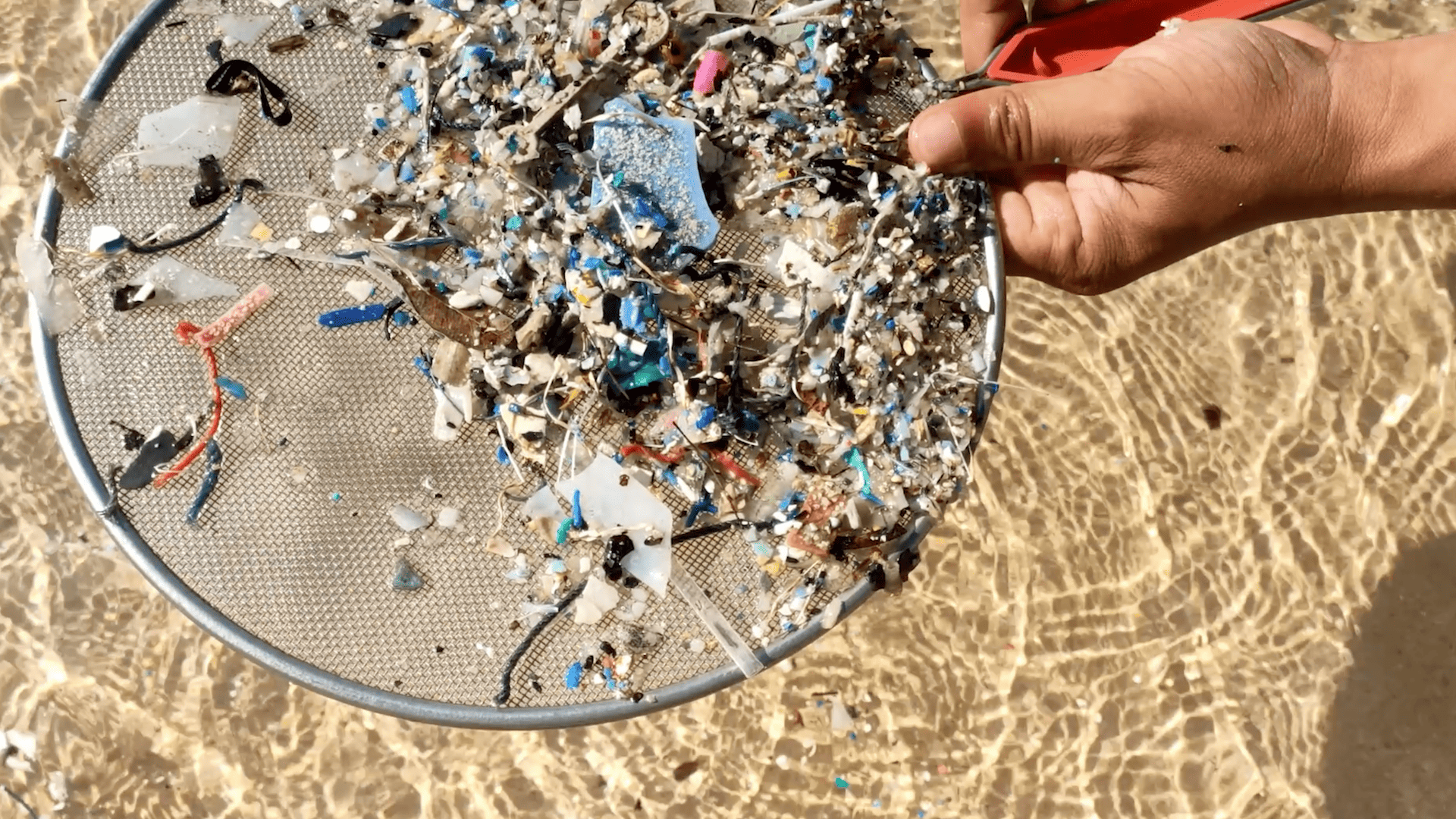 A strainer with small pieces of plastic on it.