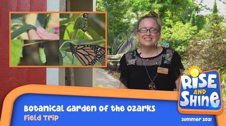 Video thumbnail: Rise and Shine Field Trip Botanical Garden of the Ozarks