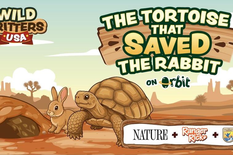 The Tortoise that Saved the Rabbit | Wild Critters USA Poster