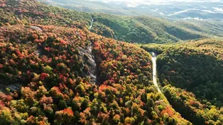 Climate Change Impacts on Fall Foliage