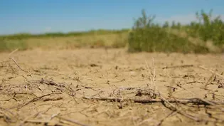 Water to water, dust to dust in the Arkansas Valley