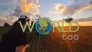 Whoof, Nile Valley Aquaponics, Greenfield Robotics