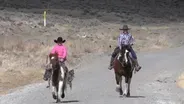 Camp TV: Travel Day