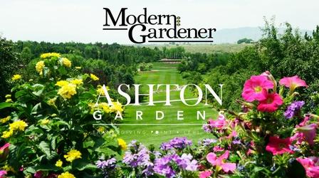 Video thumbnail: Modern Gardener Ashton Gardens