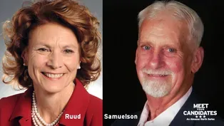 Meet Your Candidates: Minnesota Senate District 10