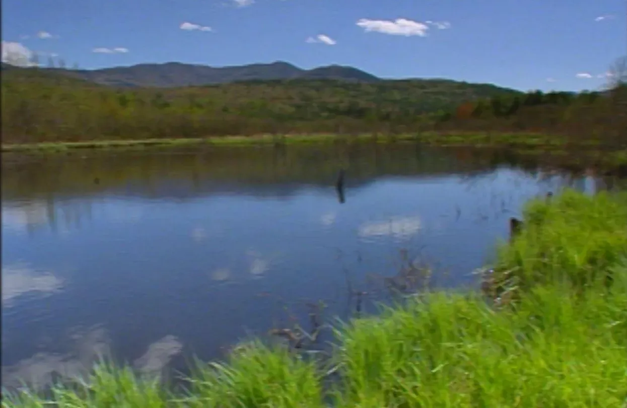 Shadows of the Seasons: A Year in the Adirondacks