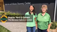 The Bee and Pollinator Center
