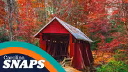 Campbell's Covered Bridge
