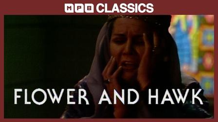Video thumbnail: MPB Classics Flower and Hawk (1980)