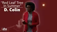AHA! 608 | D. Colin: Red Leaf Tree in Summer