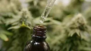 How Some Parents Brought CBD to Market to Treat Epilepsy