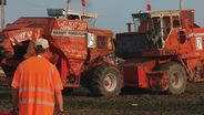 Bremer County Fair Combine Demolition Derby