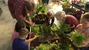 School Greenhouses