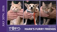 7/30/2026 | Denny, Hillary and Archie | Mark's Furry Friends Extra