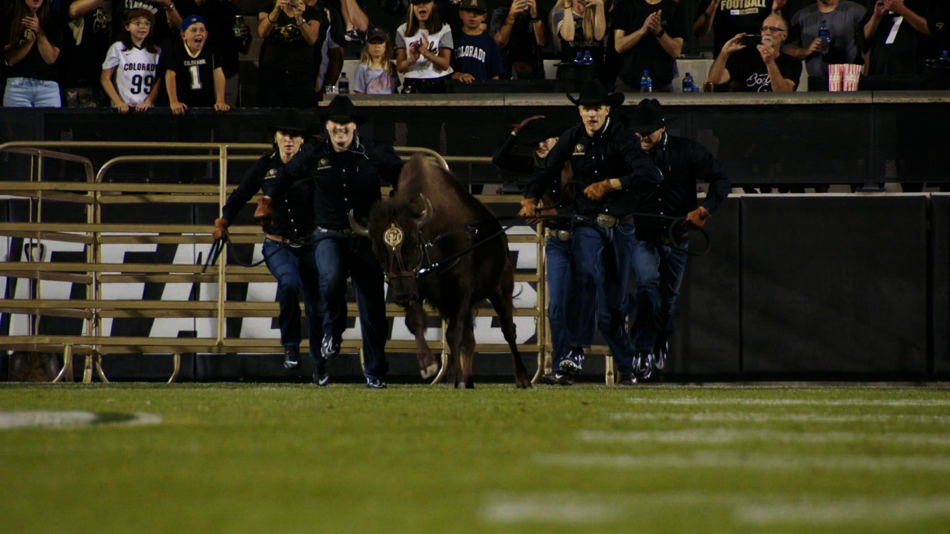 Colorado Buffaloes thrash #1 LSU Tigers in blowout win - The Ralphie Report