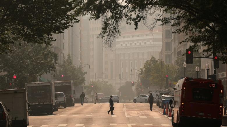 PBS NewsHour Image
