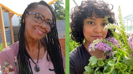 Video thumbnail: Central Texas Gardener Growing Dreams with Raised Beds, Cover Crops, Weed Control