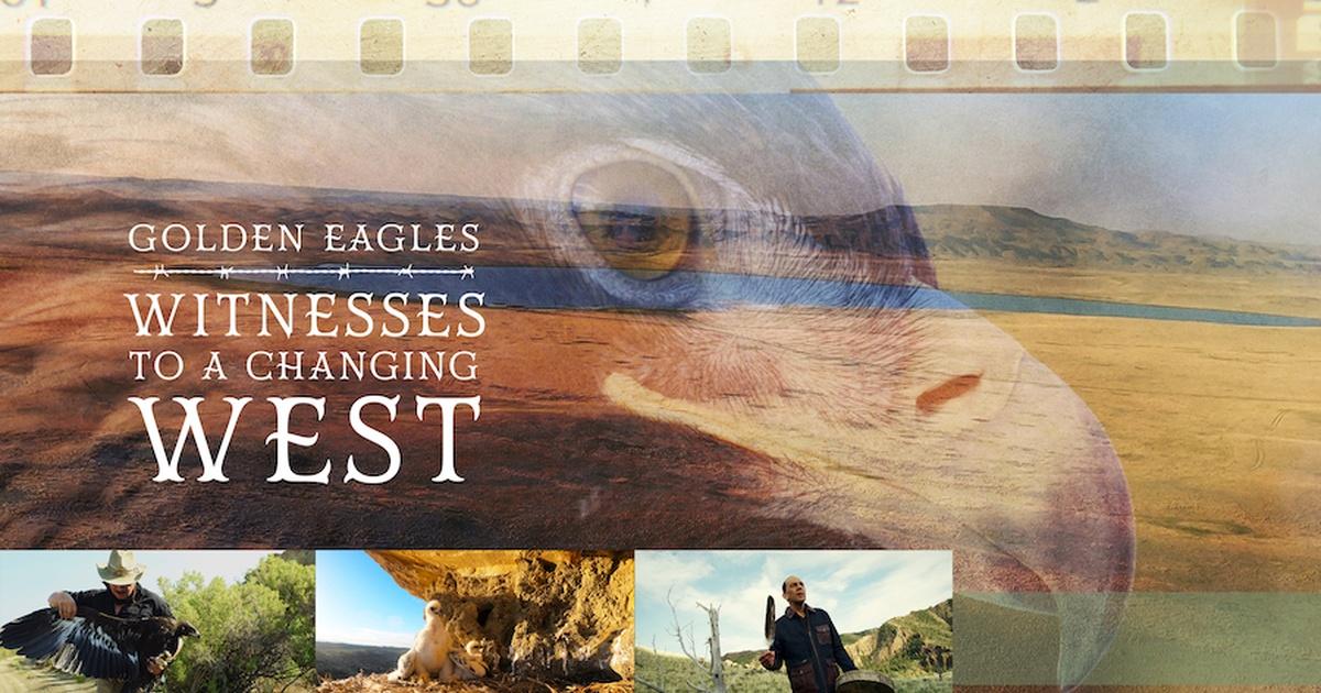 Golden Eagles Witnesses to a Changing West PBS