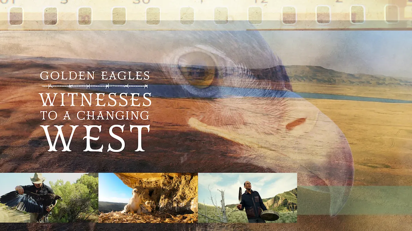 Golden Eagles: Witnesses to a Changing West