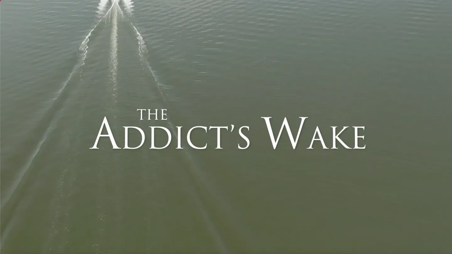 The Addict's Wake