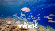 Oceans: What's Under the Surface?