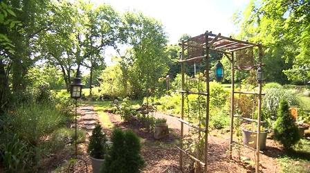 Video thumbnail: Volunteer Gardener Volunteer Gardener 3019