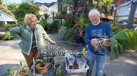 Video thumbnail: Volunteer Gardener Volunteer Gardener 3004