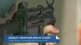 Spotlight Politics: Lawsuits Challenge Assault Weapons Ban