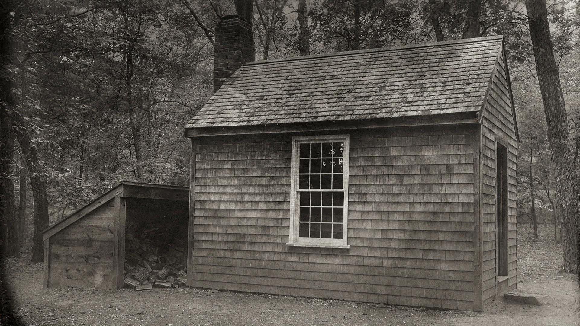 Thoreau lives at Walden Pond where he writes, while exploring nature — and himself.