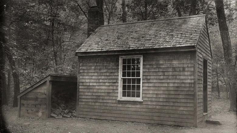Henry David Thoreau Image