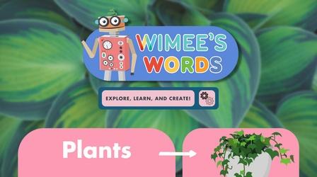 Plants