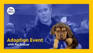 Puppy Adoption Event