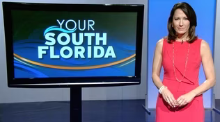 Your South Florida - Promo