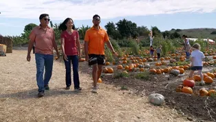 Tanaka Farms