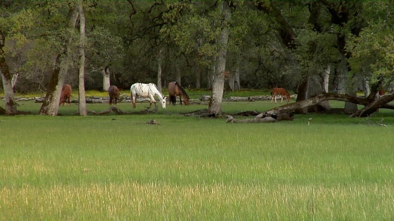 America's Heartland