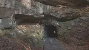The Little School That Could, Nada Tunnel, Kentucky Museum, Lexington's 1833 Cholera Epidemic