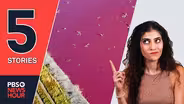 Pink lakes, a vaccine-developer Barbie | 5 STORIES
