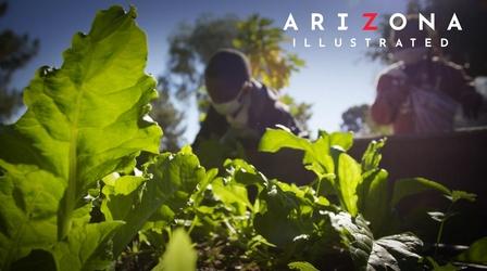 Video thumbnail: Arizona Illustrated Cultivating with Kids, TANGO, Jewish Mysticism