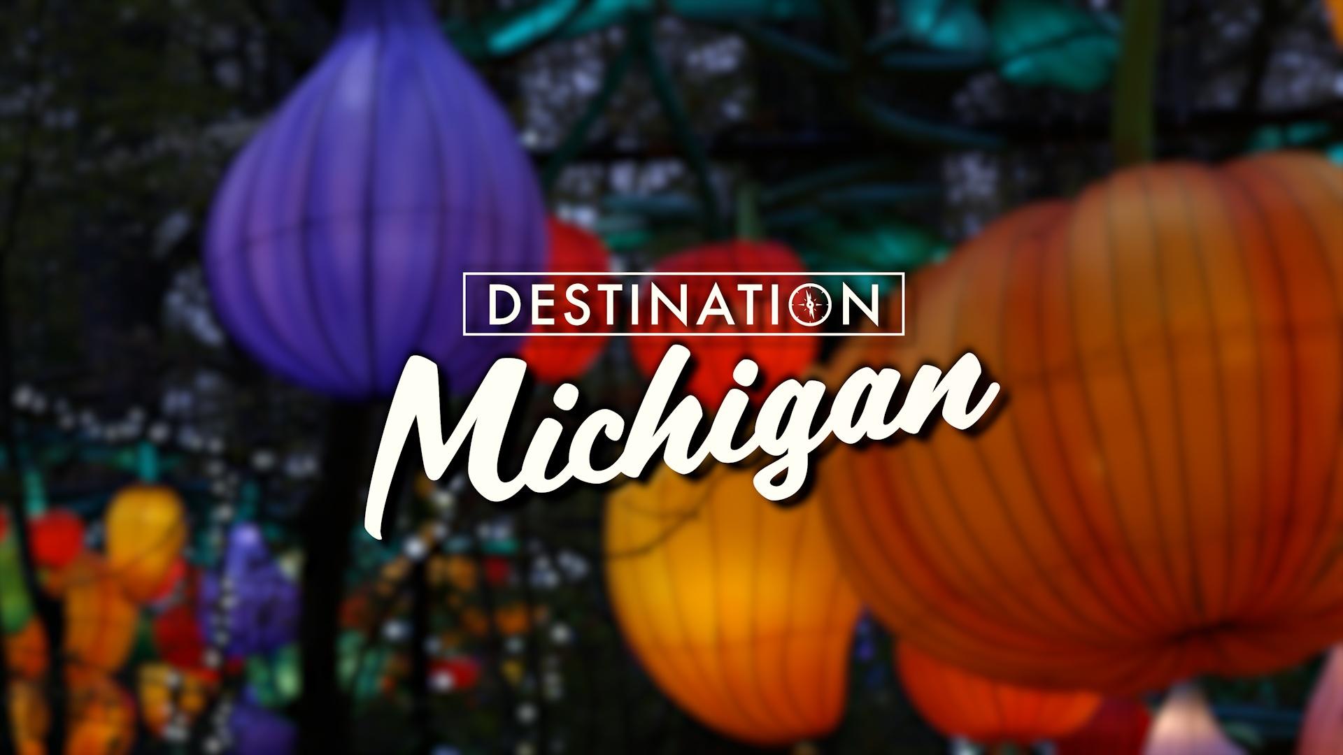 Grand Rapids, Detroit, Secret Mushroom Location, Mt. Pleasant, Osceola County